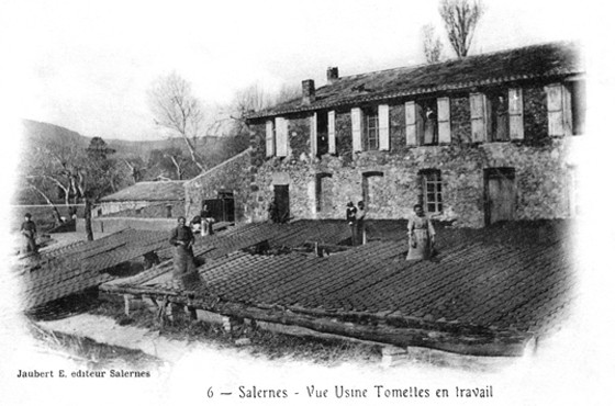 Usine de tomettes à Salernes