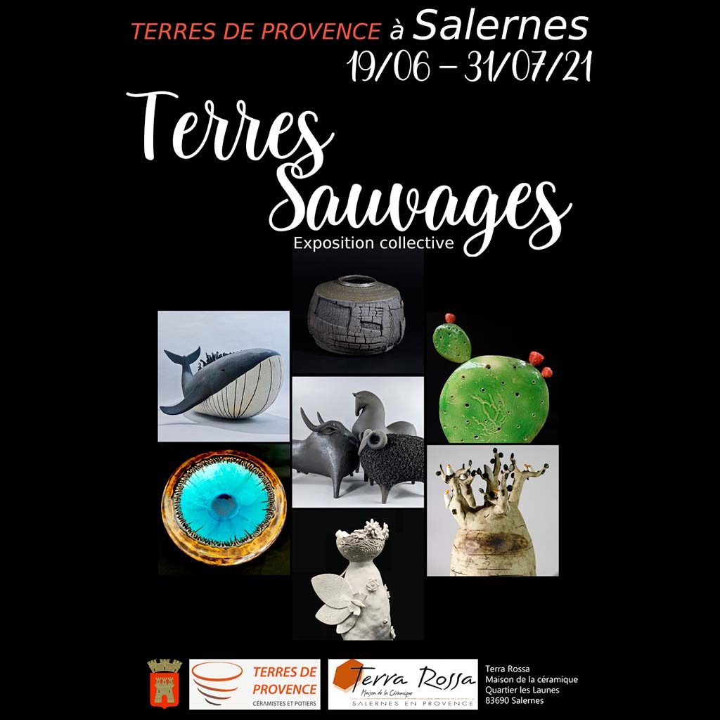 Affiche Terre Sauvage 2021