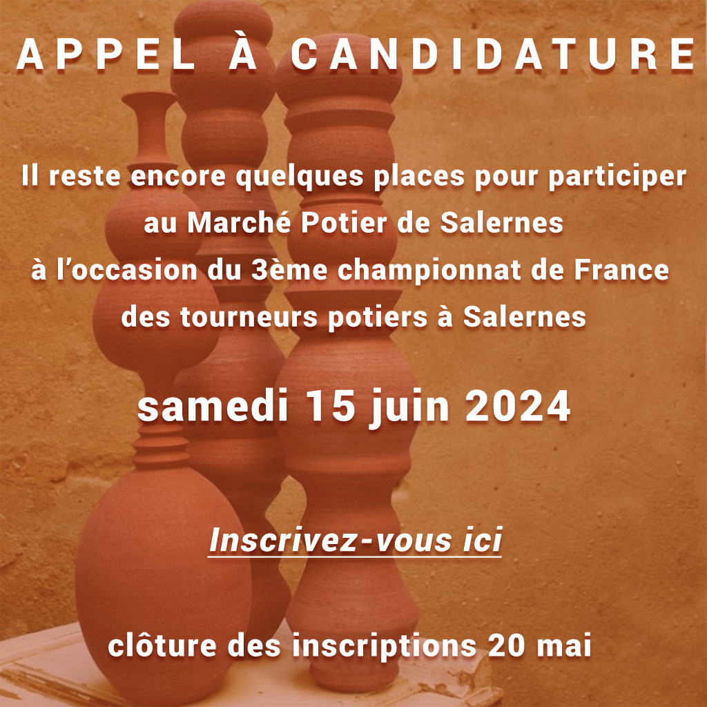 Affiche Appel a candidature