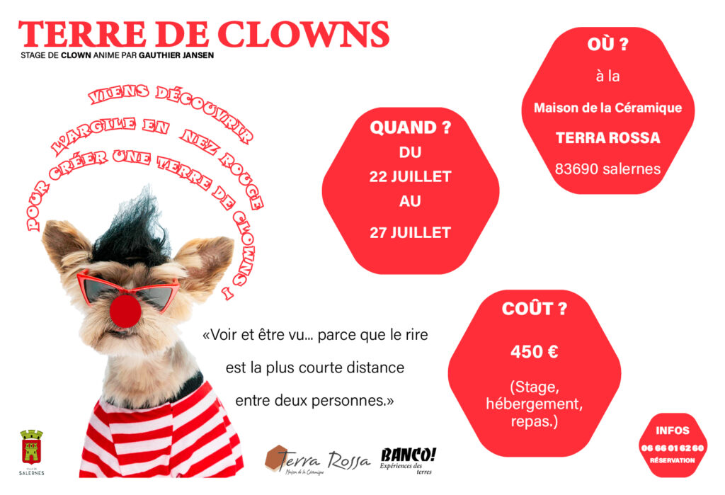 Visuel Stage Terre de Clowns