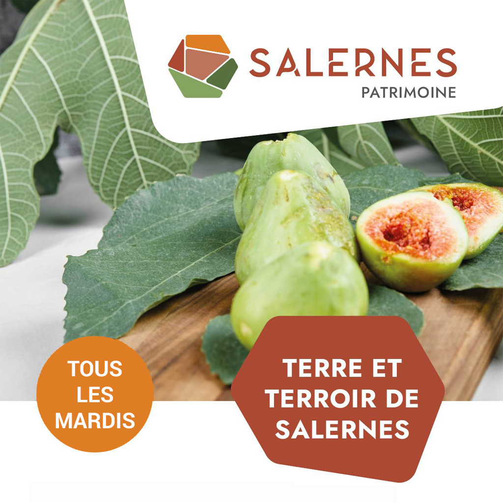 Visuel Terre et Terroir